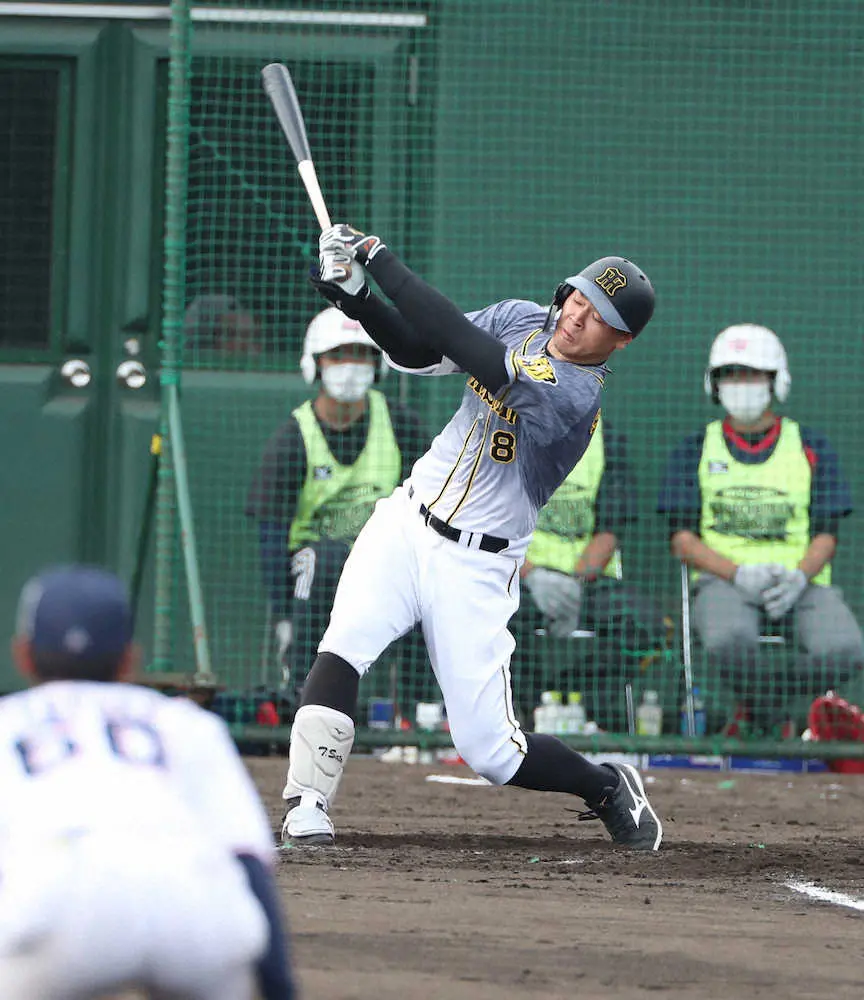 【画像・写真】阪神・佐藤輝　フェニックスLで4の0も前向き「良いところも悪いところもある。考えながらやっていく」