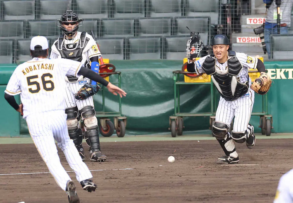 【画像・写真】阪神・坂本　ポストシーズンでも攻守のキーマン「自分の持っている力をチームのために使う」