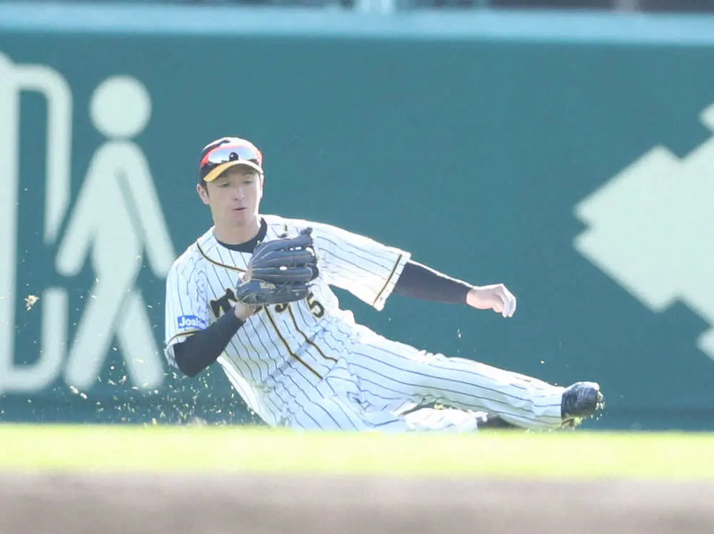 【画像・写真】阪神・近本　打って、走って、守った！CS初戦スタメンへ「特に不安もなくできた。問題ないです」