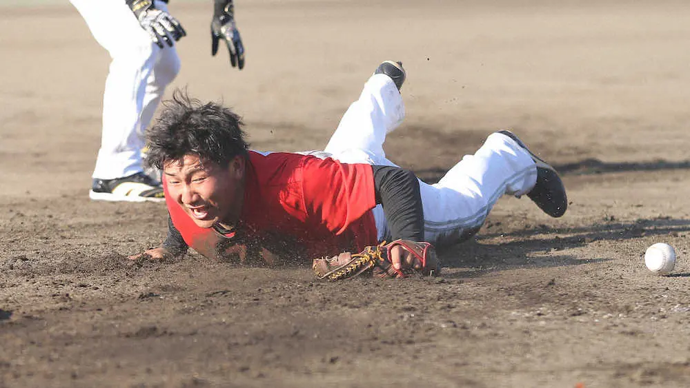 【画像・写真】＜ソフトバンク秋季キャンプ＞特守を受け藤本監督のノックを必死に追う野村（撮影・岡田　丈靖）