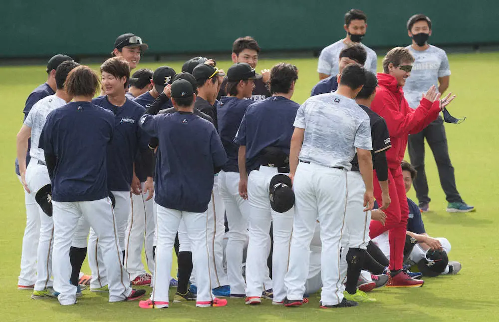 【画像・写真】日本ハム新庄ビッグボス本格始動「ユニホームはいつ着るの？」　始まりの赤ジャージーは上下合わせ4万超
