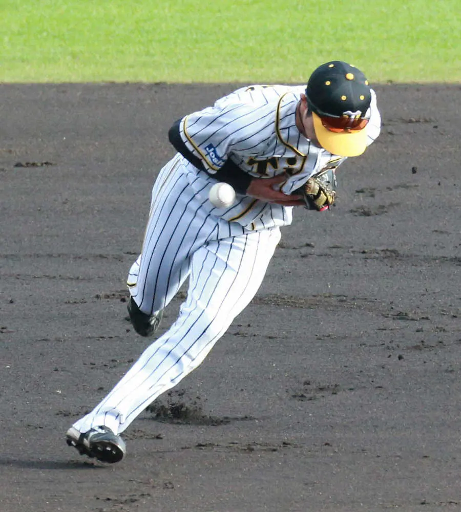 【画像・写真】関本賢太郎氏が提言　失策12球団ワースト「86」の阪神　減らすには原因究明し、厳しい状況想定せよ