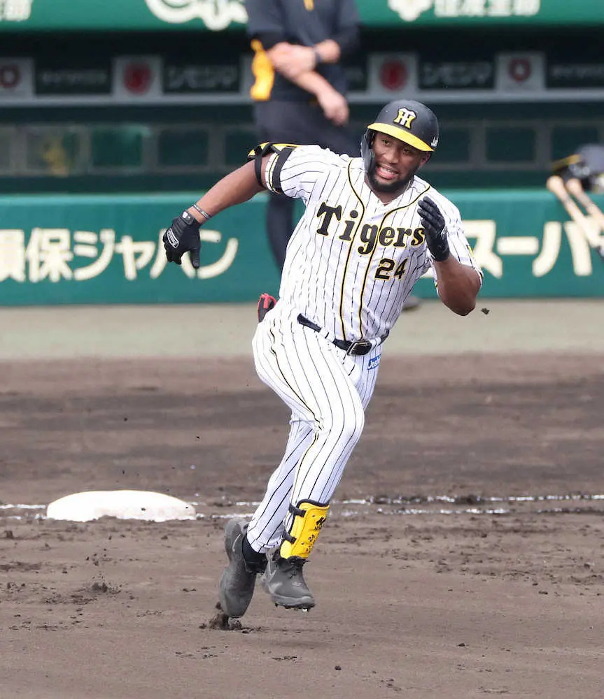 【画像・写真】阪神・ロハス