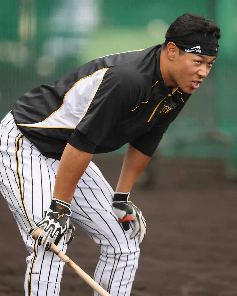 【画像・写真】シーズン終盤から左膝痛だった阪神・佐藤輝「無理をする時期ではない」秋季練習は一部別メニューで