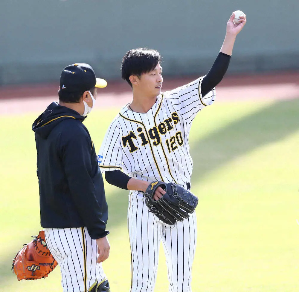 【画像・写真】左肘手術から1年経過の阪神・島本、右足骨折の井上は着実にステップアップ　鳴尾浜でリハビリ中