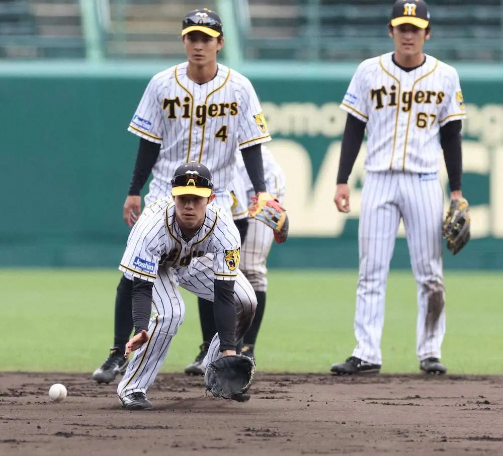 【画像・写真】阪神　秋季練習第2クール初日は守備を徹底強化　4年連続12球団ワースト失策からの向上目指す