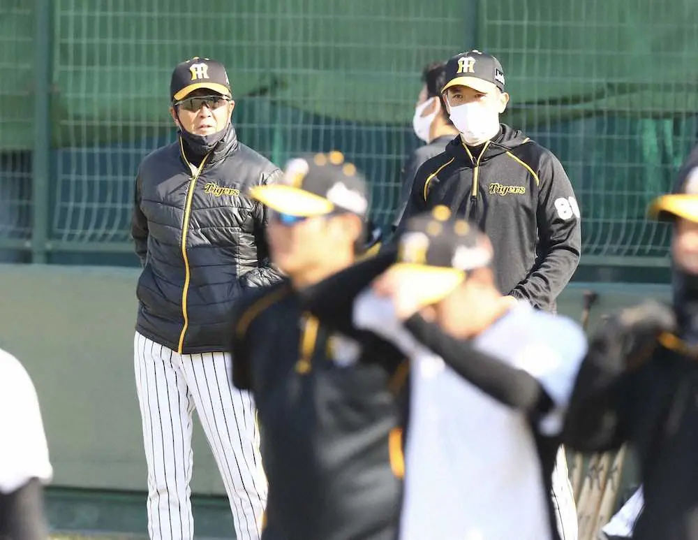 【画像・写真】阪神・矢野監督　鳴尾浜球場で投手組の秋季練習視察　育成左腕・岩田将に熱視線