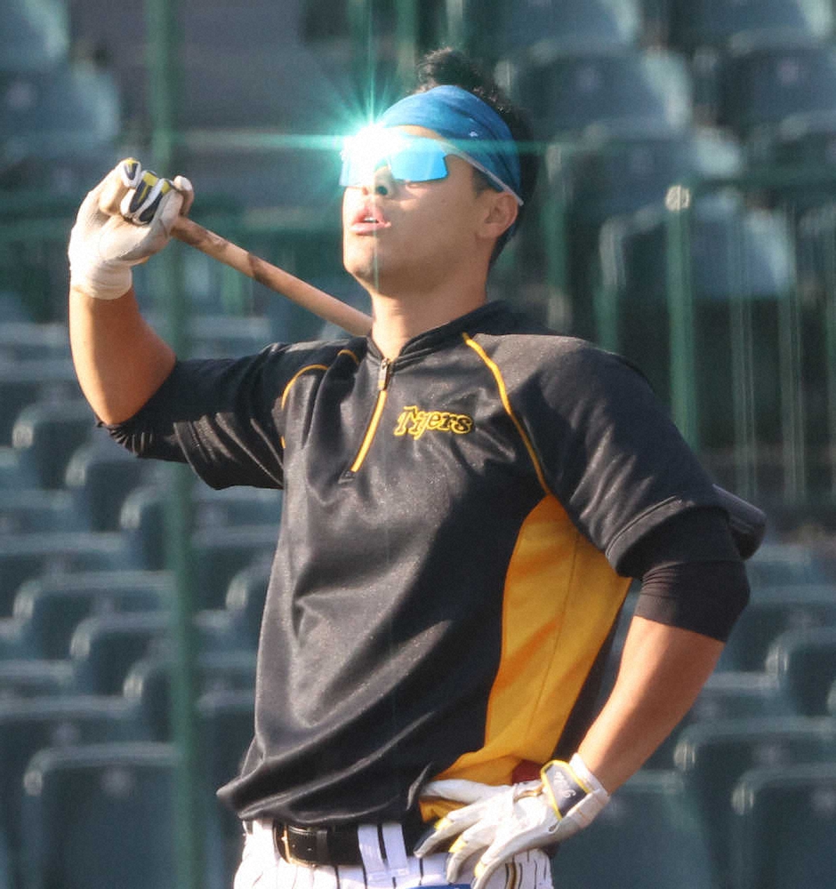 阪神 佐藤輝 来季飛躍へ配球の勉強 打撃フォーム修正 個別データミーティングで弱点再確認 スポニチ Sponichi Annex 野球