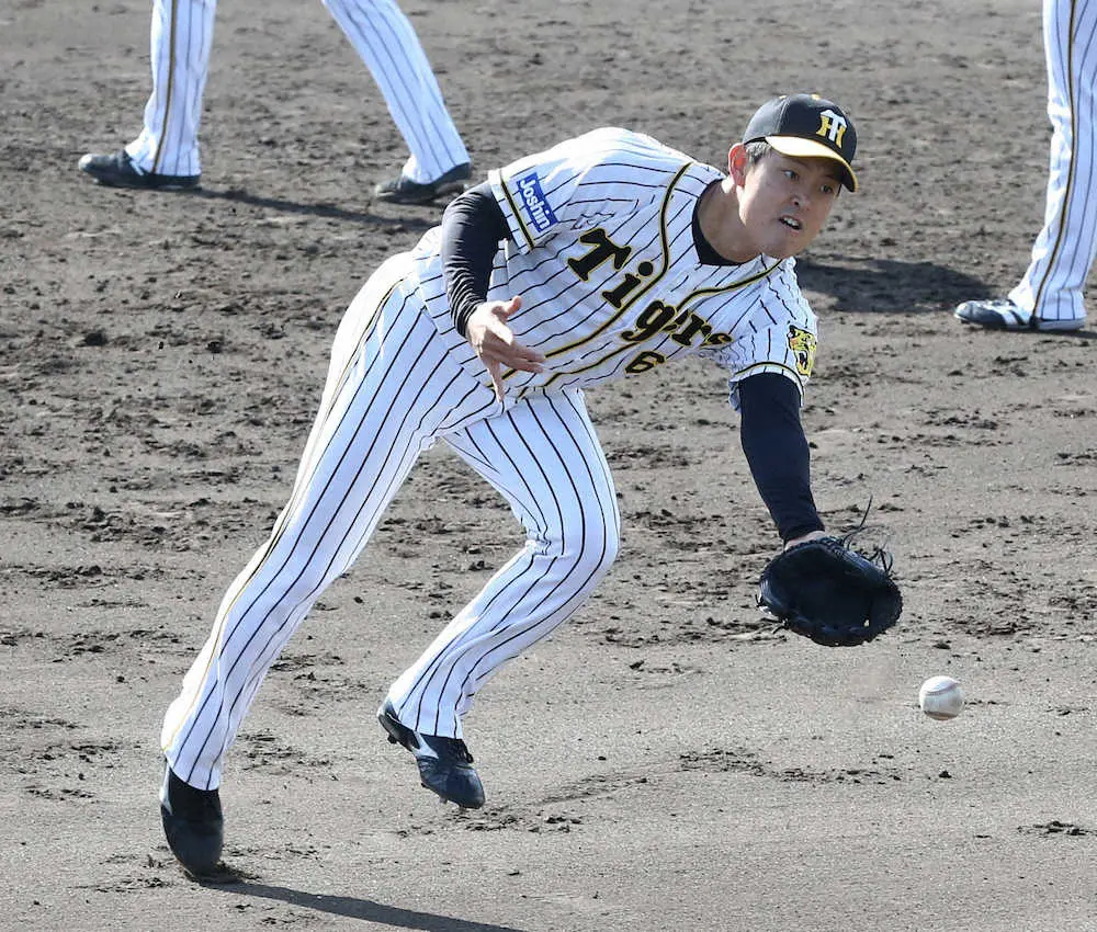【画像・写真】阪神・6年目の望月と3年目の川原　保留選手名簿から外れ自由契約に　球団は育成契約を打診