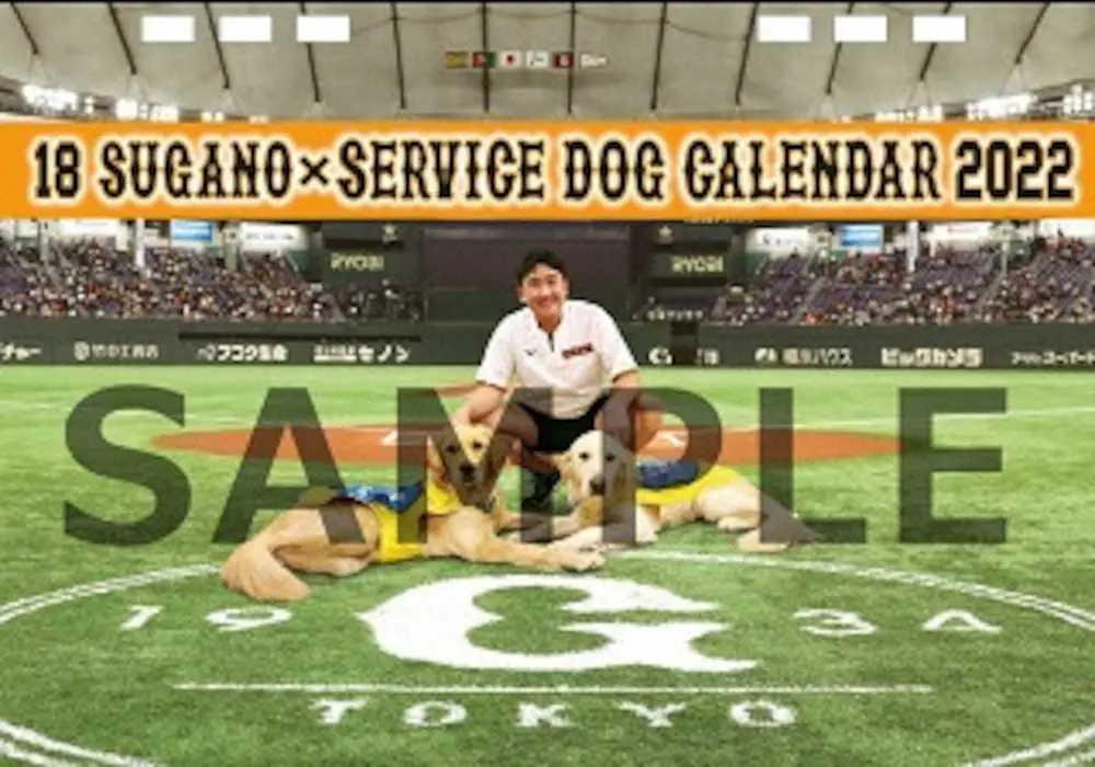 菅野と介助犬が登場する22年の卓上カレンダー（球団提供）
