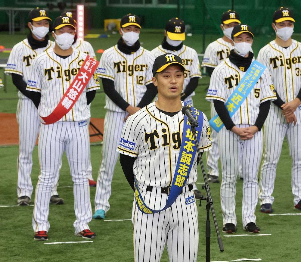 最大クーポン 阪神タイガース梅野選手実使用バット