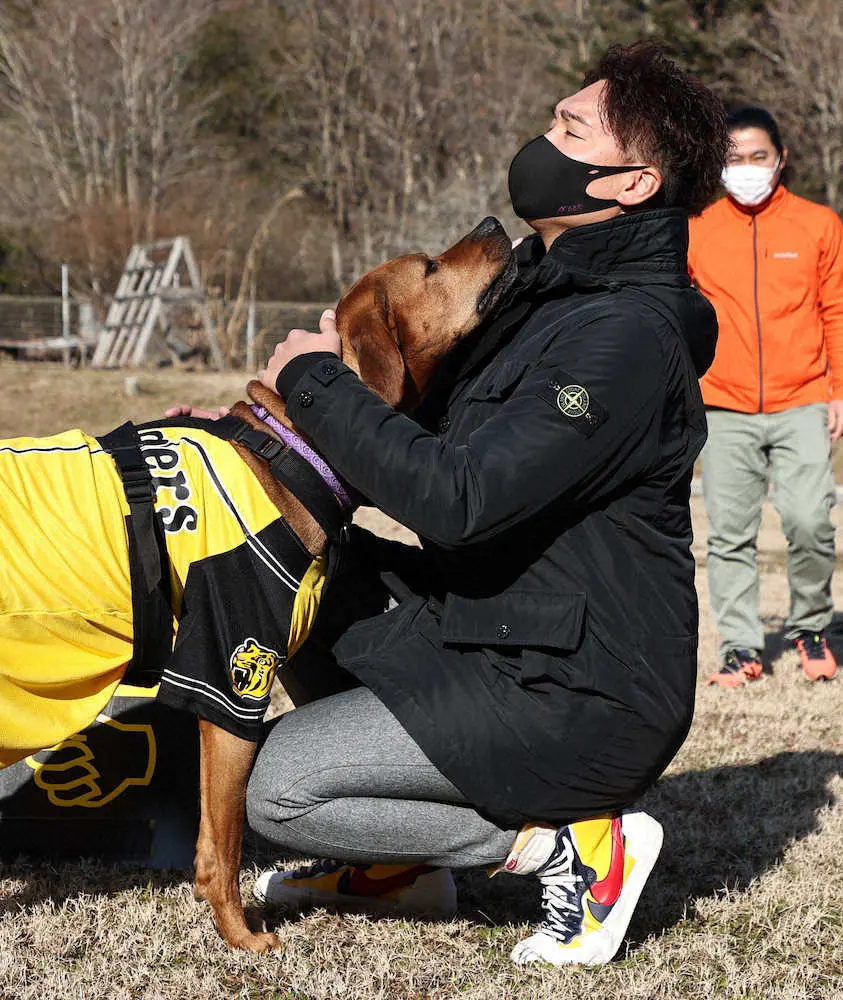保護犬と触れ合う阪神・秋山（代表撮影）