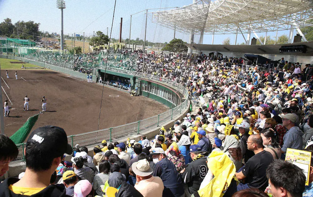 【画像・写真】練習試合・阪神－日本ハム戦で超満員となった宜野座村野球場（2017年2月19日撮影）