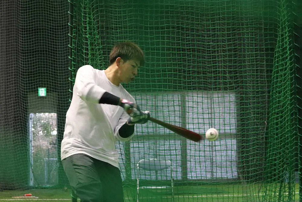 【画像・写真】広島　コロナ襲来でキャンプ振り分け変更　韮沢が1軍昇格　野間ら3人が隔離練習