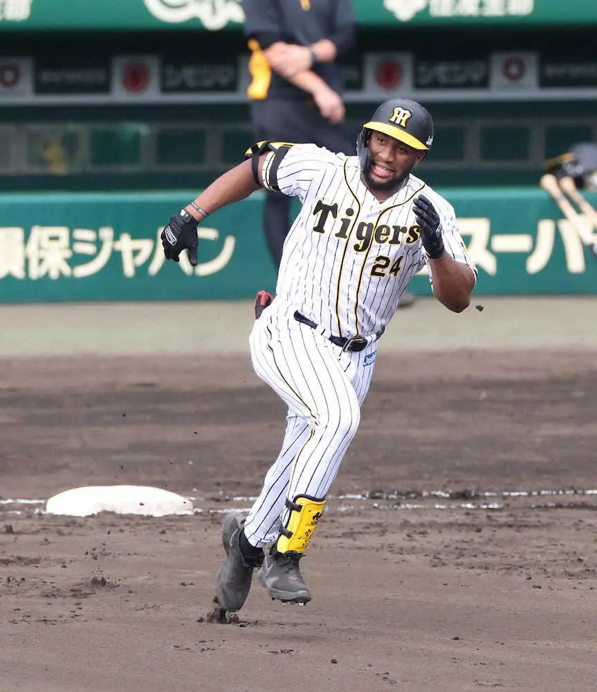 【画像・写真】阪神　ロハス、マルテ、西勇が沖縄入り　所定の隔離期間終えPCR検査も陰性確認