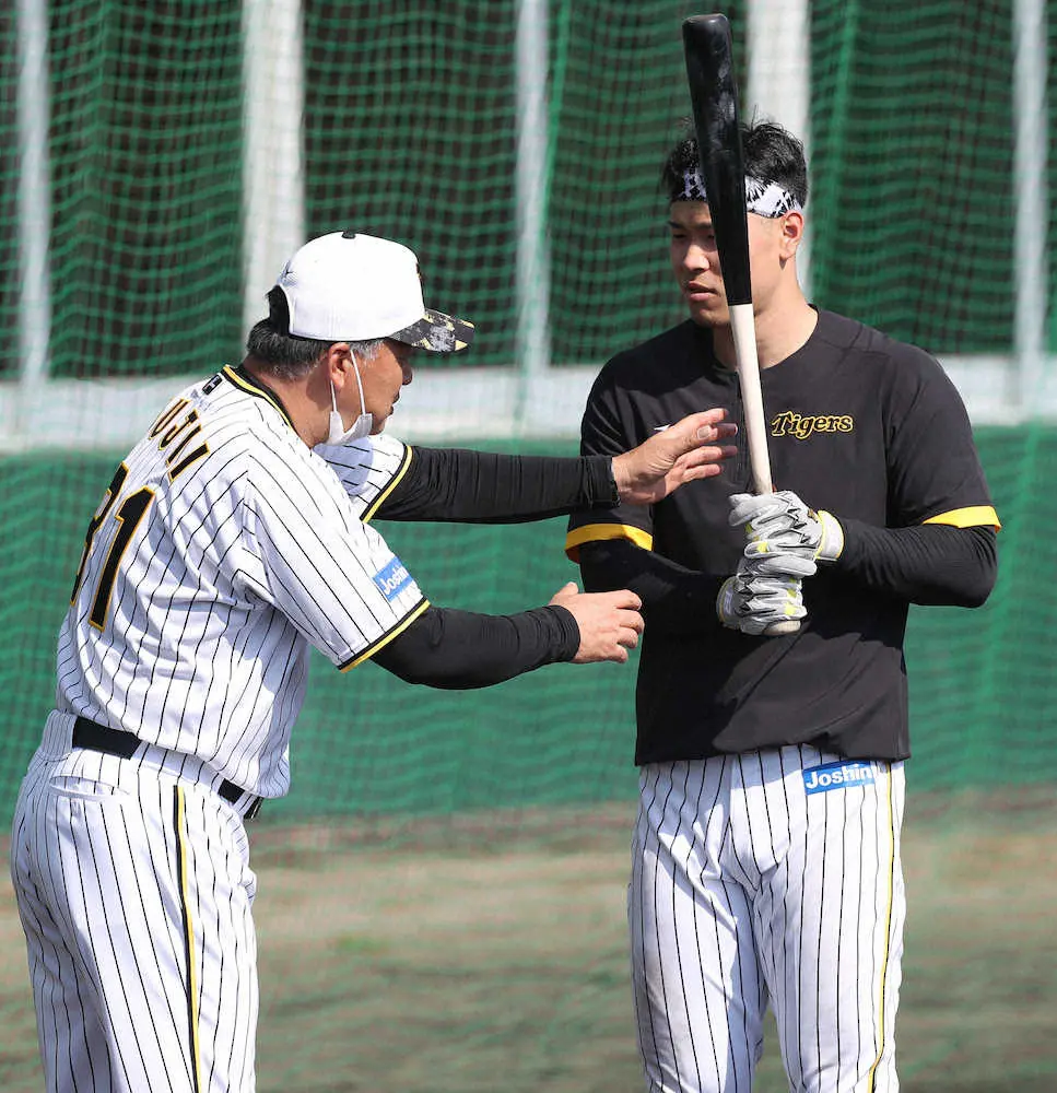 【画像・写真】阪神・佐藤輝が“今季1号”　フリー打撃で宜野座のバックスクリーンへ スタンドの虎党も釘付け