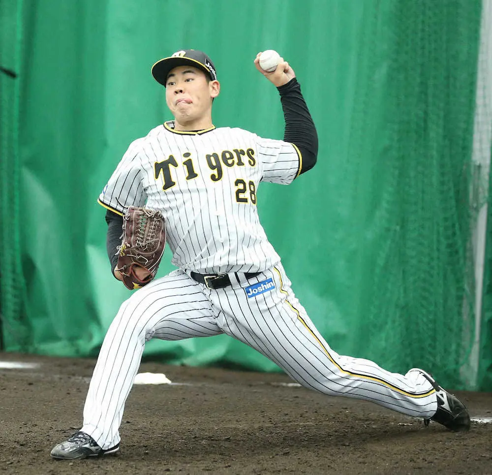 【画像・写真】阪神　サウスポー戦線異状あり　ドラ2鈴木、ドラ3桐敷がブルペンで熱投　2年目伊藤将も67球先輩の意地