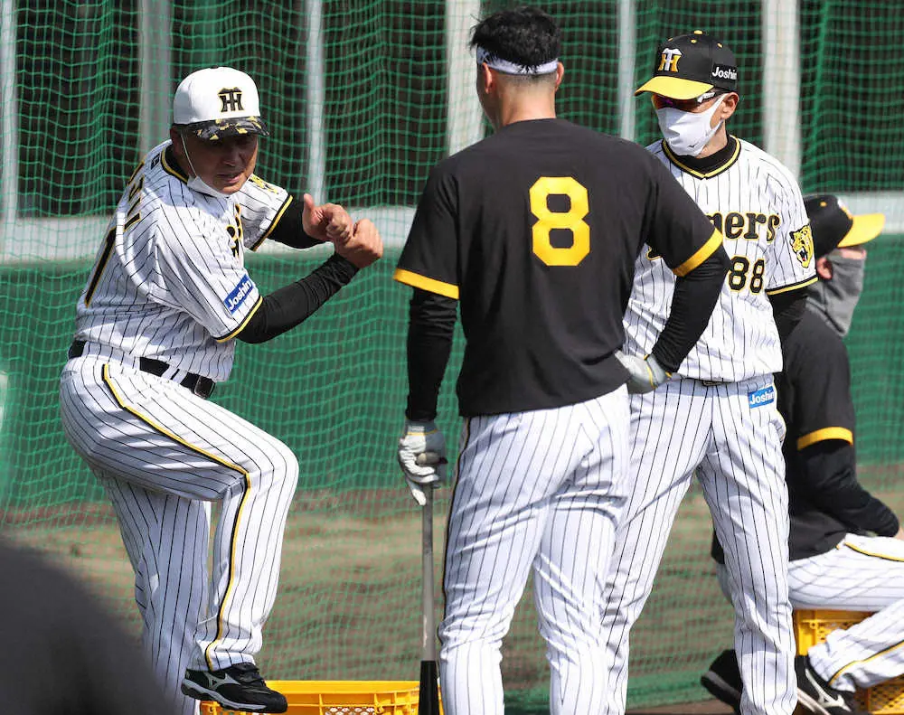 【画像・写真】キャンプインから精力的な阪神・藤井康コーチ　佐藤輝に、糸井に、江越に熱血指導