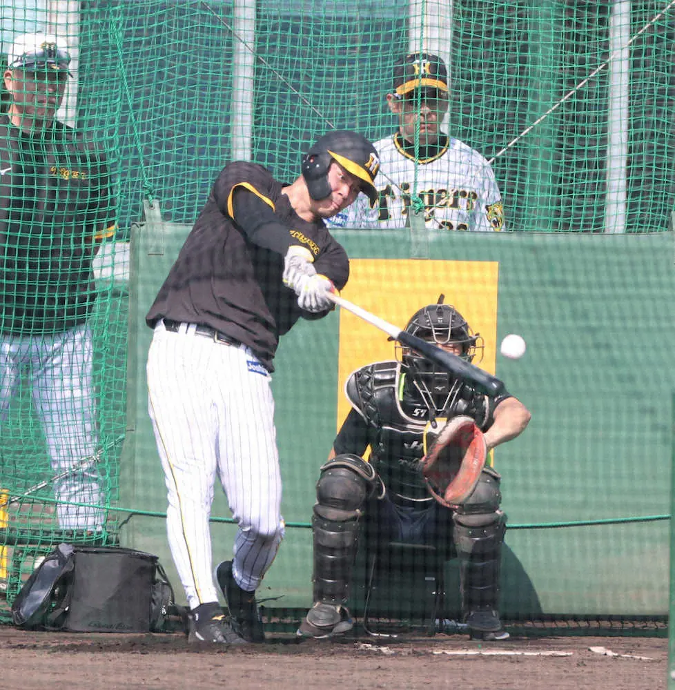 【画像・写真】阪神・佐藤輝「監督らしいなという感じ。監督を男にできるように」　矢野監督の決意にバットで応える