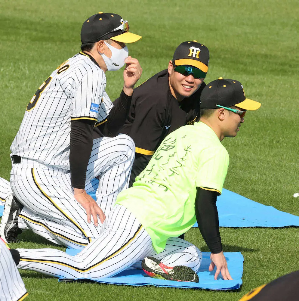 【画像・写真】＜阪神宜野座キャンプ＞　坂本（右）や西勇（中）と話し込む矢野監督（撮影・大森　寛明）