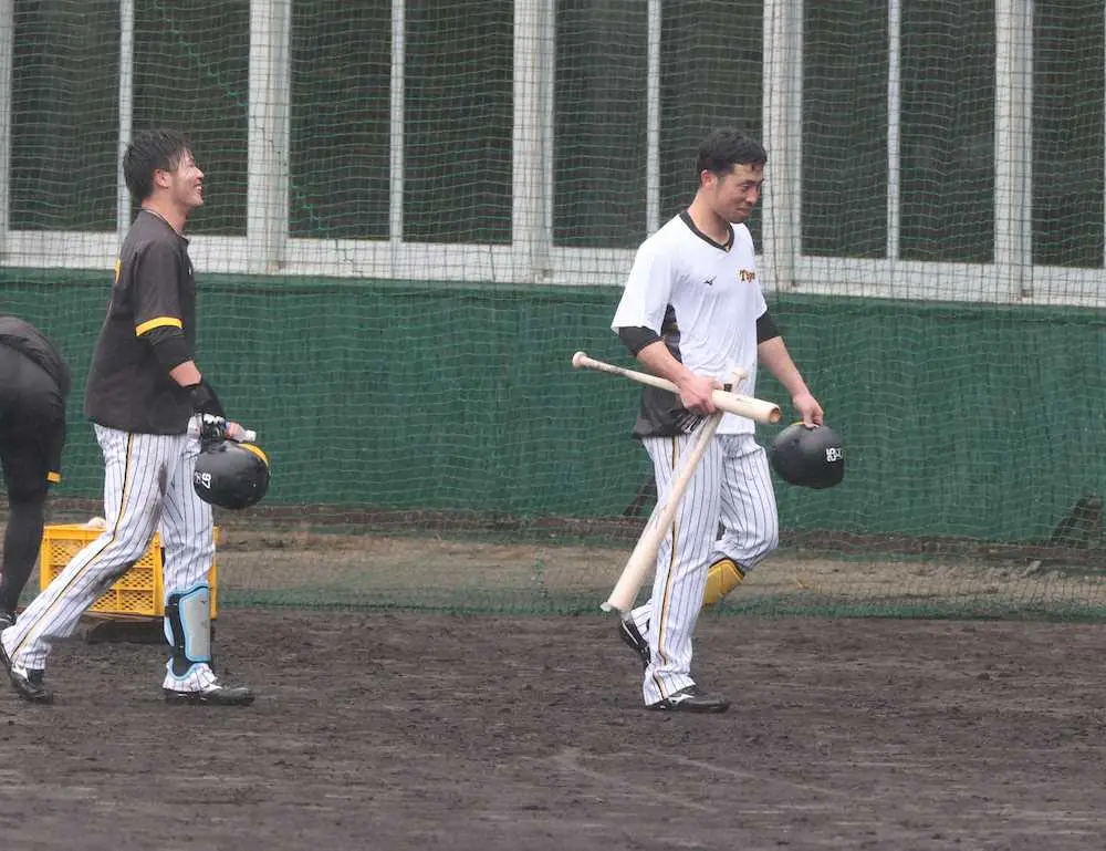 【画像・写真】阪神・宜野座キャンプ2日目は午後から強い雨　矢野監督は濡れながらの指導