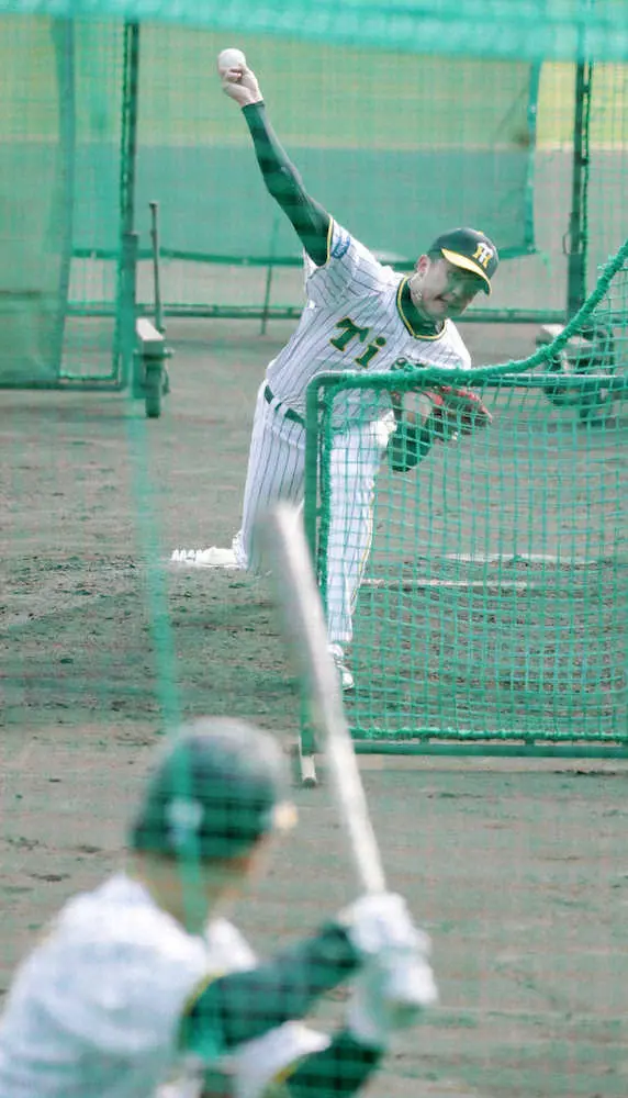 【画像・写真】阪神・才木　フリー打撃に登板し35球　右肘手術からの順調な回復をアピール
