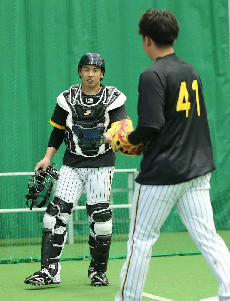 【画像・写真】阪神・梅野　2年目村上にアドバイス「秋山から学ぶことある」　配球、思考をすり合わせ