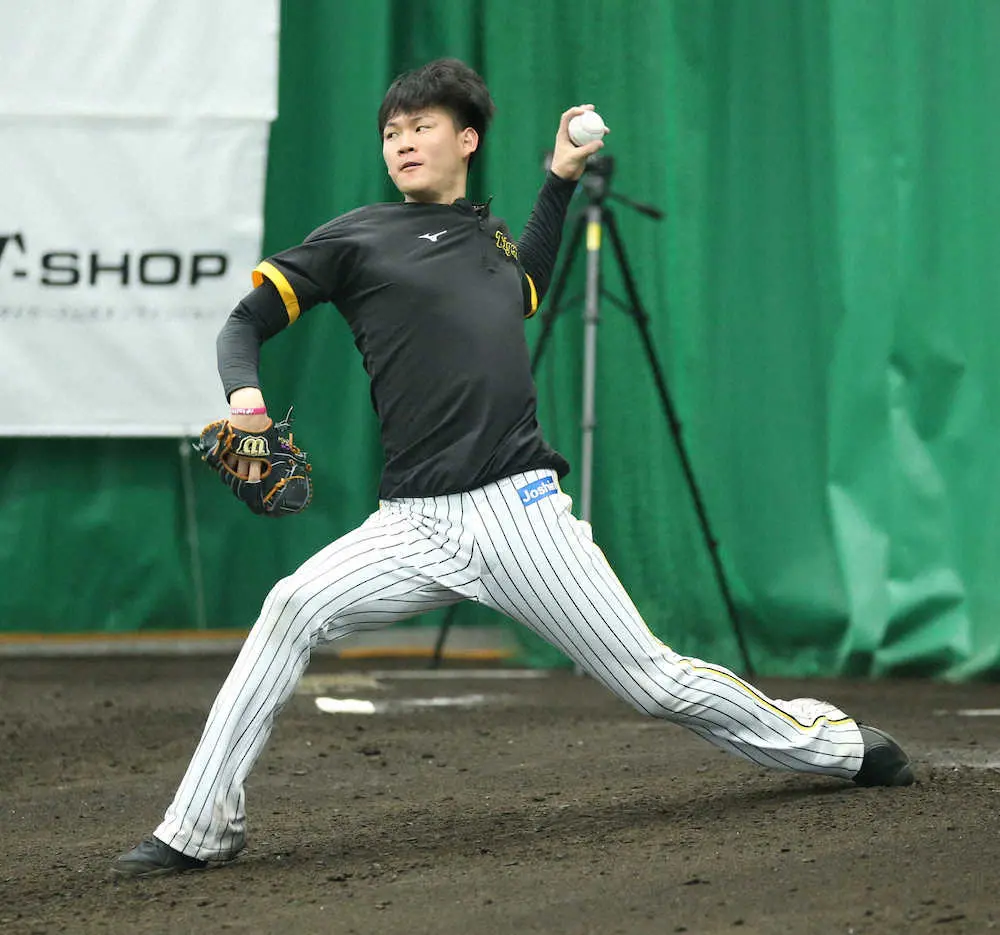 【画像・写真】若虎投手陣　新庄ハム封じへの「腕試し」や　3日のシート打撃に及川ら5投手が登板