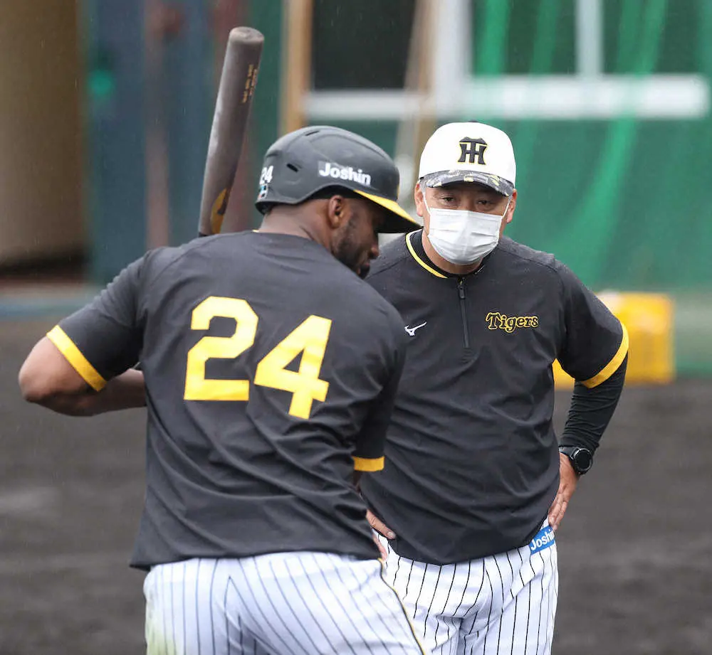 【画像・写真】2年目覚醒の予感　阪神・ロハス　初めて学んだ「4スタンス理論」でイチローと同じ「A1」タイプ