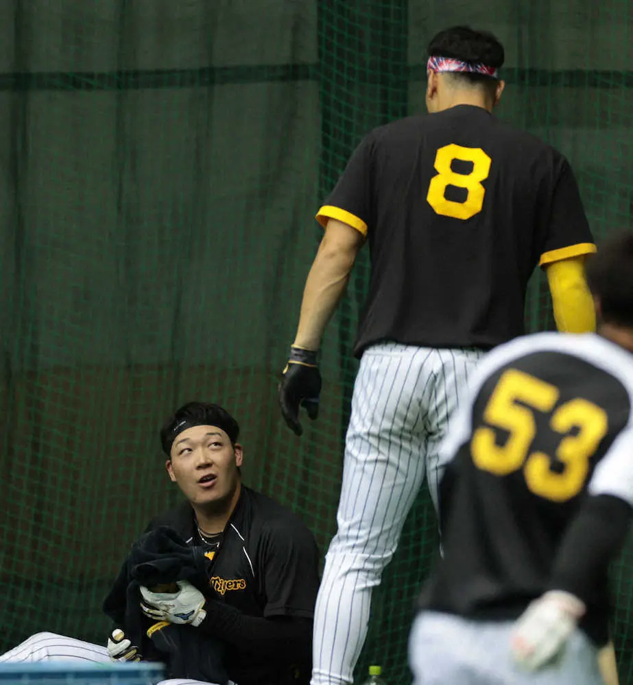 【画像・写真】阪神・大山が4番大本命　5日紅白戦へ気持ち高ぶる「しっかり課題を持ってやりたい」