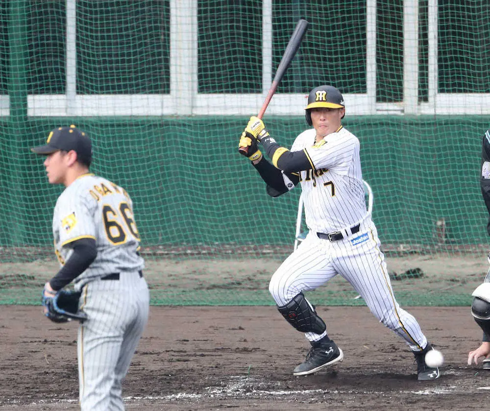 【画像・写真】阪神・糸井　虎加入後最速実戦で22年初ヒット　40歳の「決意」をバットで示した