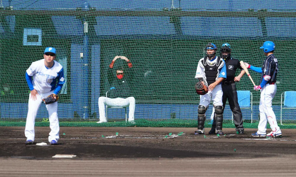 【画像・写真】新庄流“細かすぎる”紅白戦　「大好物」1死満塁からスタート「全ての練習になる」