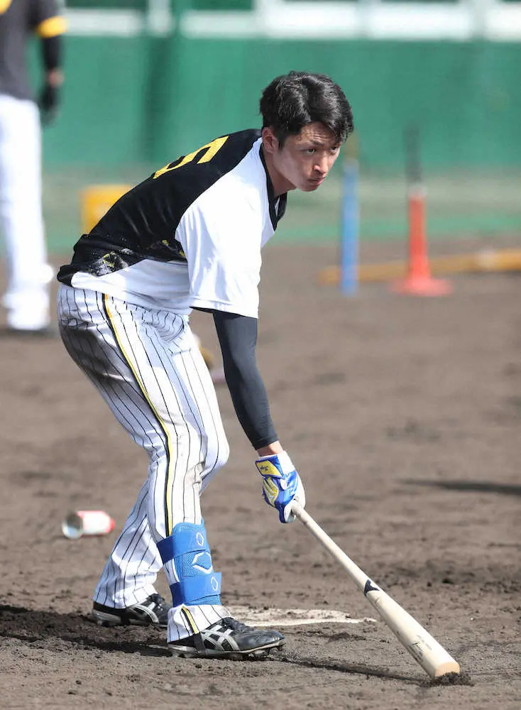 【画像・写真】阪神・近本　3月台湾戦で侍招集へ「選ばれたからOKではない。そこで活躍できるようにやらないと」