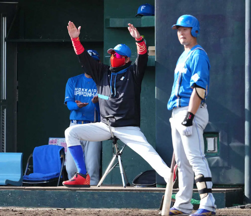 【画像・写真】新庄監督　選手も知らなかったスタメンの選出、打順はガラポン、本職じゃない守備…ビッグボス流の意図は