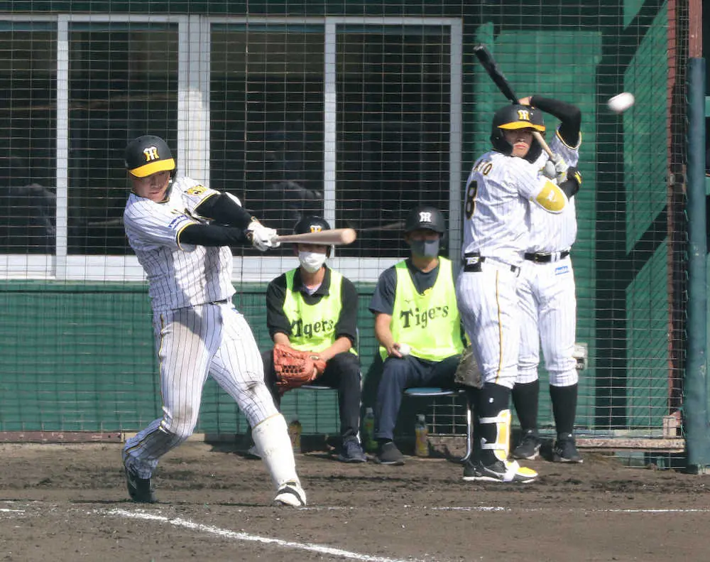 【画像・写真】阪神3番・大山“自己最速の1号”「打順じゃない。8番だろうと、4番だろうと、チャンスは回ってくる」