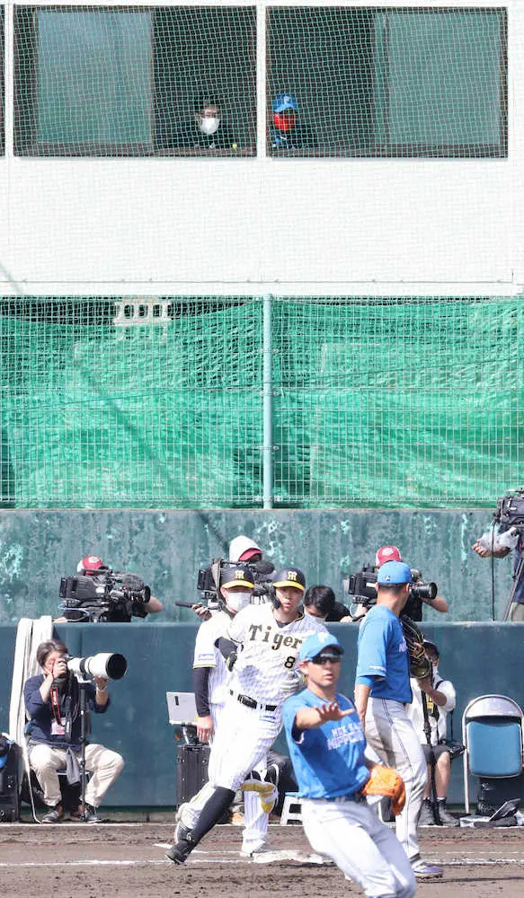【画像・写真】新庄監督　試合中に“守備位置変更”、開始直後の“小屋”から4回裏にベンチへ