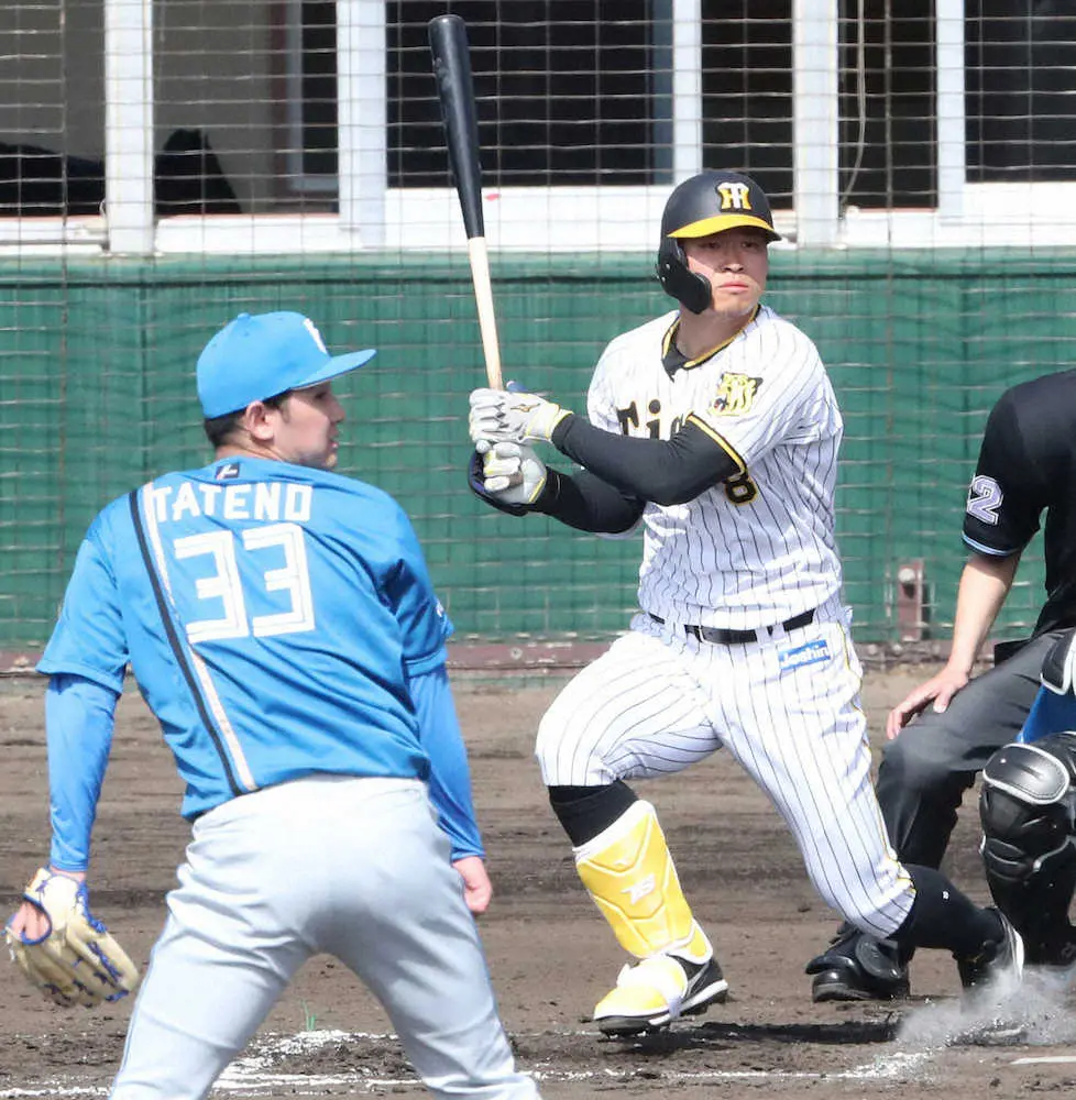 【画像・写真】阪神・佐藤輝　今春初対外試合で2安打1打点　日本ハム・新庄ビッグボスも高評価「素晴らしい」