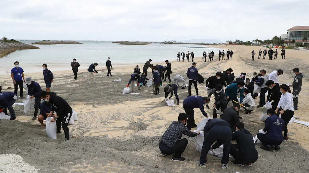 【画像・写真】阪神　新人の鈴木と桐敷がチーム宿舎のアクティビティを初体験　軽石の清掃活動にも参加