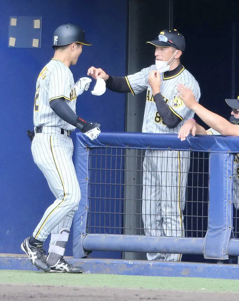 【画像・写真】阪神・矢野監督　野村克也さん命日に思いはせる「教えていただいたことを、それぞれ伝えている」