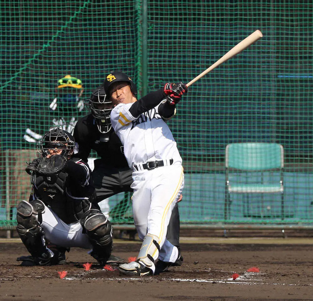【画像・写真】鷹のダブル野村　ドラ4・勇&大樹　紅白戦そろって安打で開幕1軍アピールばい
