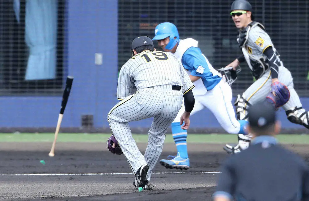 【画像・写真】亀山つとむ氏　日本ハムのバント攻撃にも動じなかった藤浪　今は内容より結果で信頼を勝ち取れ