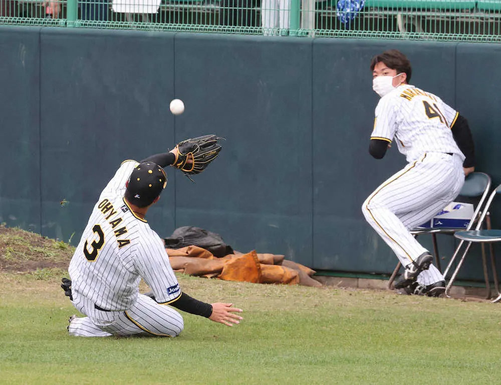 【画像・写真】阪神・大山　今春初「左翼」でV撃!“マルチな男”が絶好調　勝負強さ発揮で22年初勝利導いた
