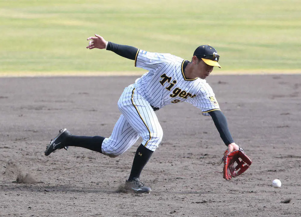 【画像・写真】阪神・原口、初実戦の三塁守備で二塁封殺　陽川は二塁守備