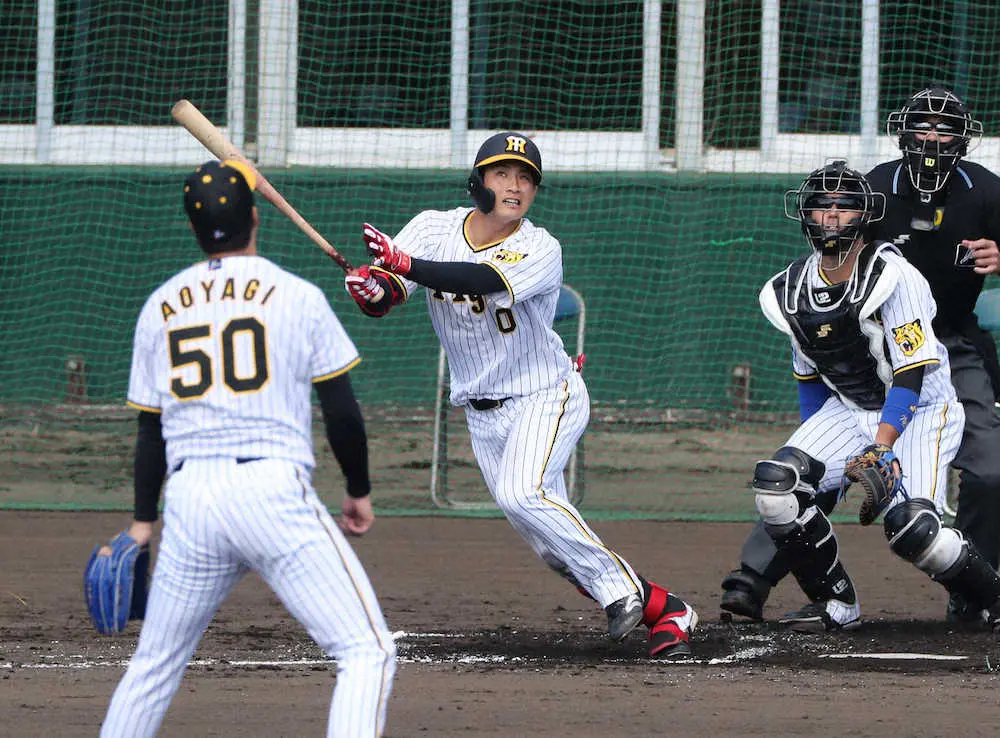 【画像・写真】阪神・木浪　遊撃再奪取へ青柳からアピール弾　テンション高く「これで乗っていけたら」