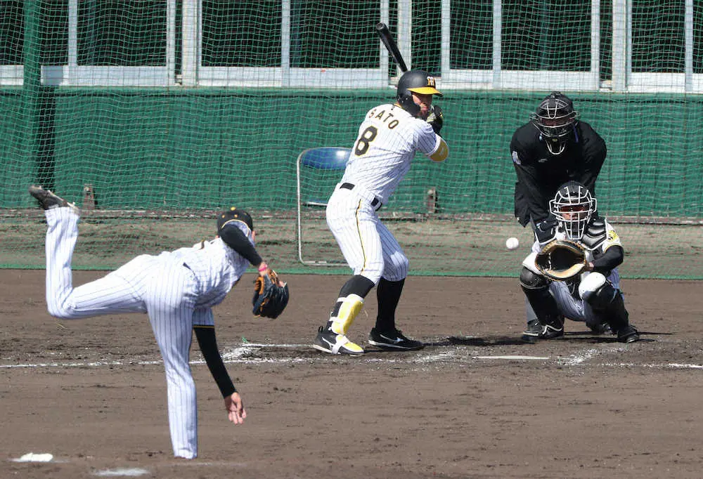 【画像・写真】阪神・佐藤輝が脱帽「見えなかったです」　及川の直球に賛辞、あえなく見逃し三振