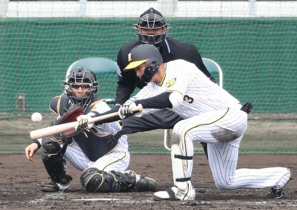 【画像・写真】ラストイヤーの阪神・矢野監督は“勝負の鬼”に　4番・大山にもバント「V争いでそういう状況くる」