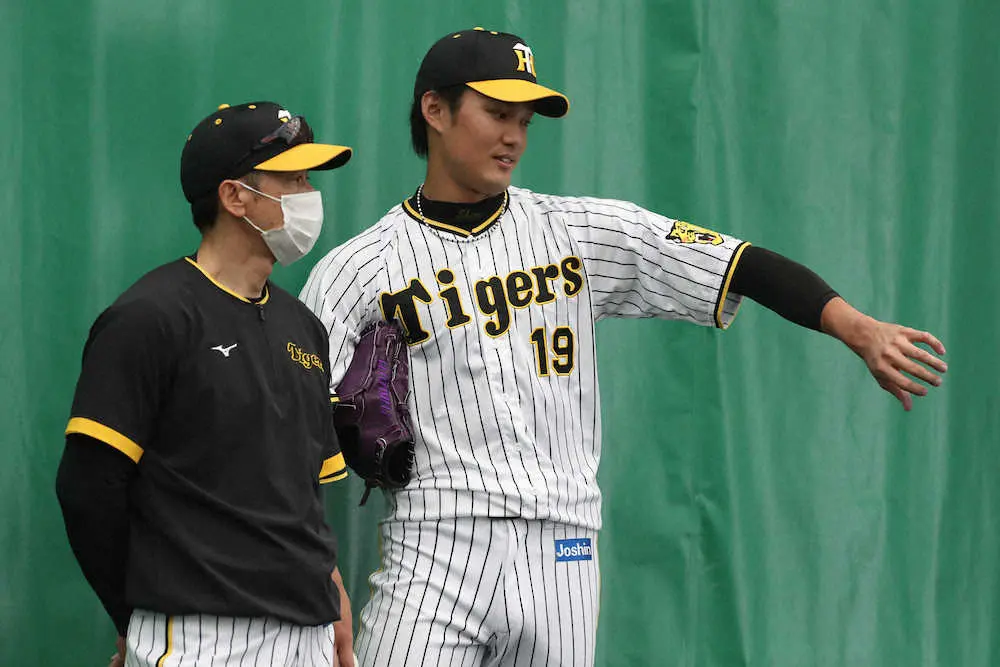 【画像・写真】阪神　宜野座キャンプ第4クールで矢野監督は桐敷と藤浪を目立った選手にピックアップ