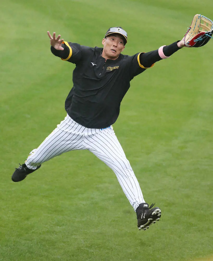 【画像・写真】阪神　チーム最年長・糸井「気合入りまくり」　若手とともにアメリカンノック参加