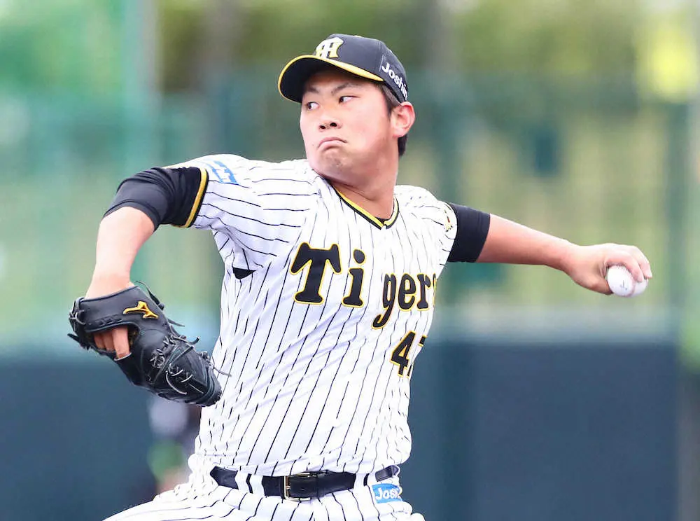 【画像・写真】阪神ドラ3・桐敷、開幕ローテ入りへ名乗り！対外試合デビュー戦に2番手で登板、1回1奪三振無失点