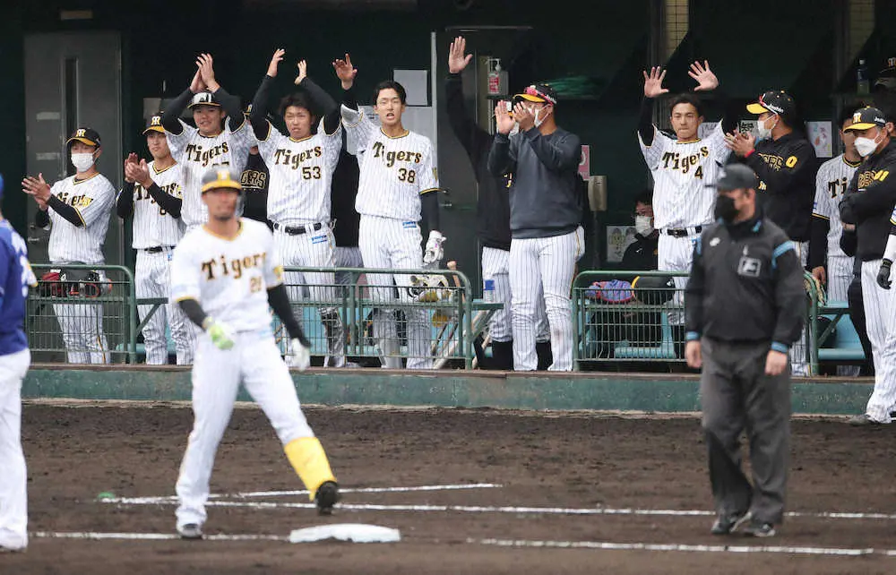 【画像・写真】9回1死二塁、勝ち越しとなる右中間適時三塁打を放った江越（左手前）に拍手を送る阪神ナイン（撮影・椎名　航）